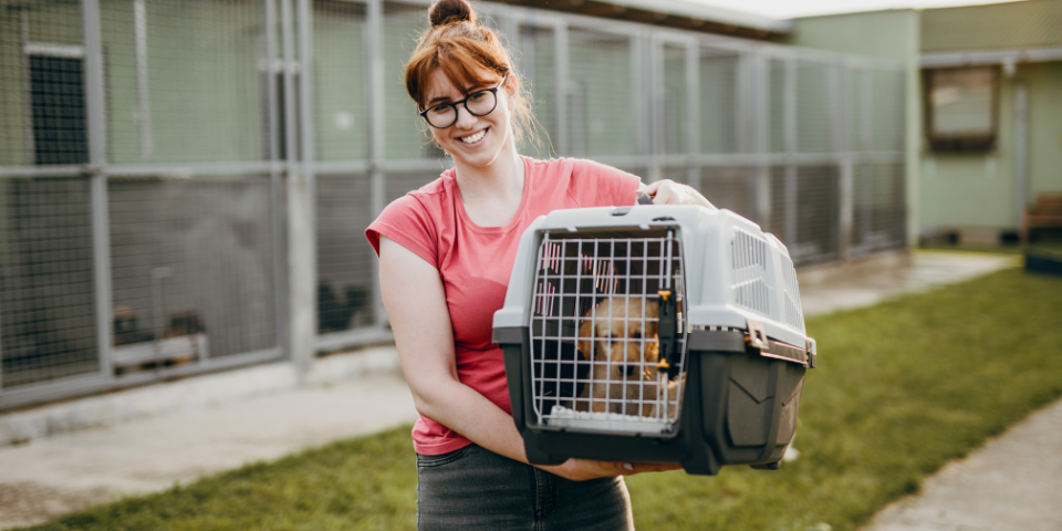 Quelles sont les qualités et compétences à avoir pour les métiers animaliers ?