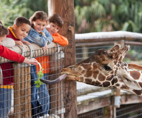 Top 6 des métiers pour travailler dans un parc animalier