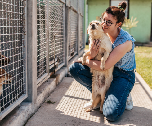 Métiers pour travailler dans un refuge pour animaux