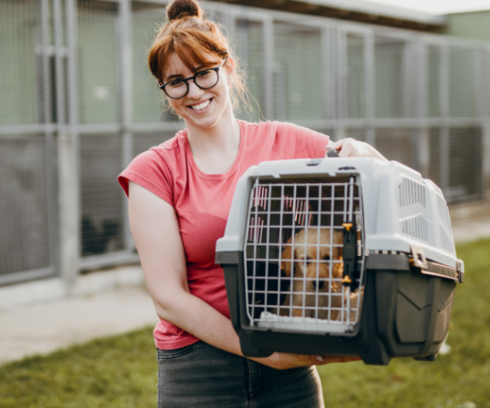 Quelles sont les qualités et compétences à avoir pour les métiers animaliers ?